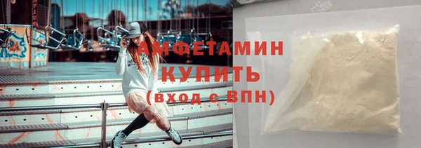 шишки Богородицк