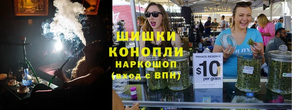 шишки Богородицк